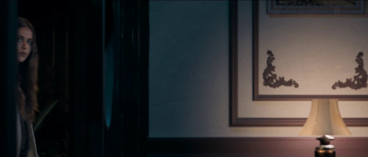 Bloody Ishq (2024) WEBRip Hindi 720p x264 AVC AAC 2.0.mkv.0000